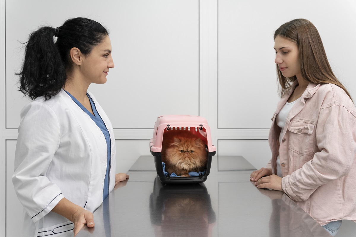 Veterinárias com gato se preparando para consulta