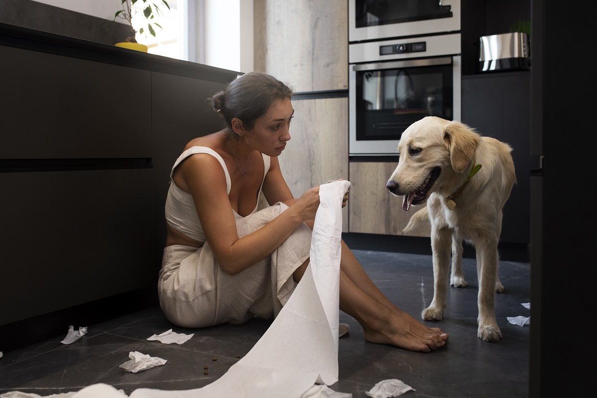 Tutora com seu cachorro vomitando Tutora com seu cachorro vomitando
